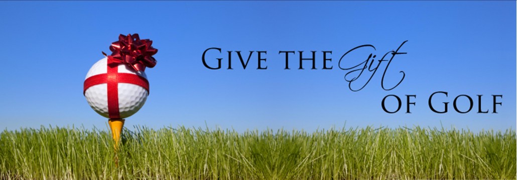 Trackman Swing Studio